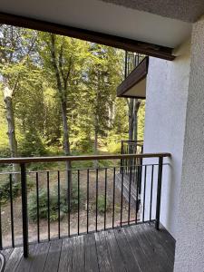 Środkowa widok na las 2 piętro garaż gratis