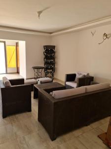 Spacious flat in mirrage maadi