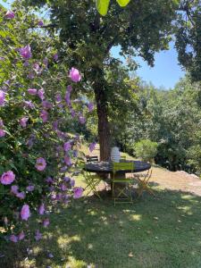 Maisons de vacances Adorable gite - Le figuier : photos des chambres
