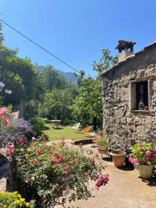 Adorable gîte - Le figuier - 拉博莱讷韦聚比