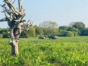 Bundala Forest Villa - Weerawila