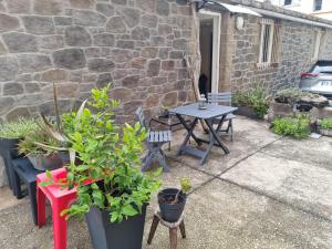 Appartements Nid d-amour : photos des chambres