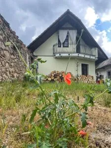 Chalupa v Hliníku - 维尼