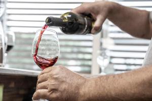 Weingut-Ferienwohnungen Kracher