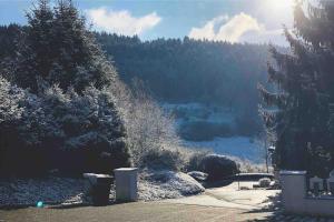 Wohnung am Waldrand am Tanneneck
