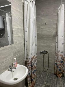 Smestaj Milisavljevic