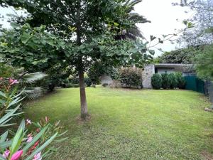 Dream Serenity, Stylish Host