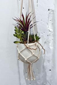 Cosy studio LEMONADE in Bastille