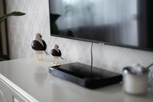 Apartament Zielona Ochota