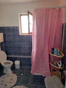 Apartmani Drndić Sjenica