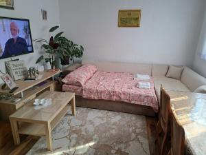 Apartmani Drndić Sjenica