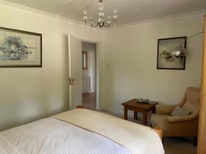 Charming Bournemouth house with beautiful spacious gardens, 5 min drive to beaches, free parking for 2-3 cars