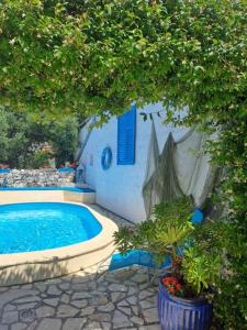Apartmani Maslina