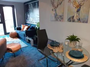 Northern Lights Apartment - 索尔泰尔