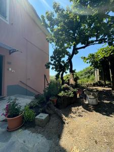 Ca dii Bürsa - HOMY 5 TERRE