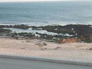 Cachinnans Hostel & Apartments