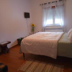 Terra Mista Alojamento Local