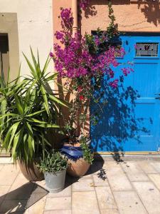 Maisons de vacances Argeles Maison de Caractere : photos des chambres