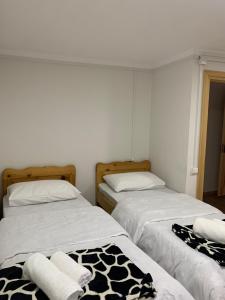 Tebdi Qor, Warm Home