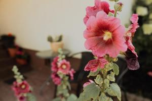 Noclegi na Wzgórzu Sopotnia Wielka