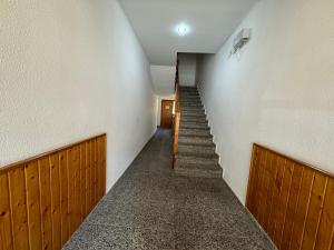 B56 - Alimoche - Villmor