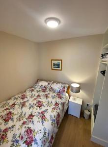 Apartment Overlooking Achill