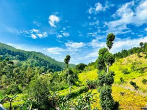 Kithal Ella Station Resort