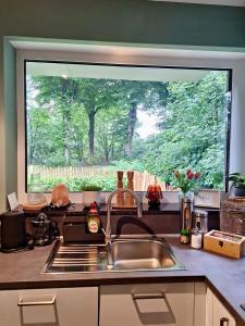 Oase am See l 2 SZ l Familien und Hundefreundlich l Sauna I E-Ladesäule