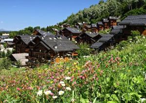 Appartements Residence Les Fermes de Meribel - maeva Home - 2 Pieces 4 Personnes Selection MAE-4097 : photos des chambres