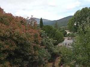 Maisons de vacances Maison individuelle plein centre avec jardin ,au pied du Mont Ventoux : photos des chambres