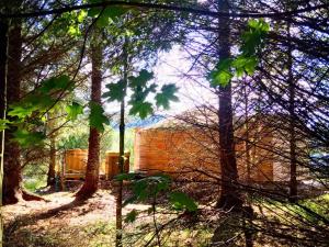 Otter - Eco Bothy with Hot Tub