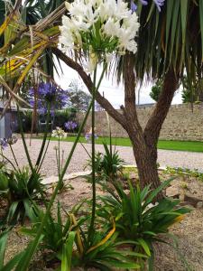 Villas VILLA la Vigie Location de vacances bord de mer plage Utah Beach Normandie : photos des chambres