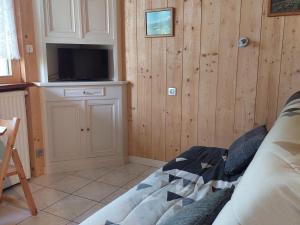 Studio rénové 16m2, terrasse, animaux admis, parking, près télécabine Brévent - FR-1-517-3