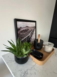 Tammsaare Delux apartment