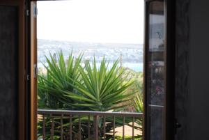 Bougainvillea Apartment