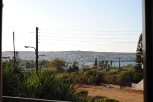 Bougainvillea Apartment