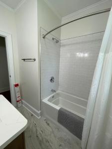 Renovated 1 bedroom in Forest Hills - B