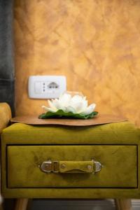 Studio Building Stefan Lake