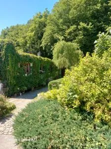 Ogród Pałacowy - Siecino