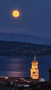 Studio Apartments Maslinik