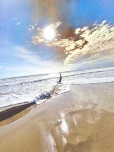 Casa Blanca - White House