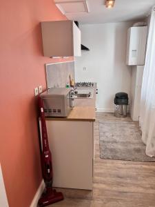 Appartements Le Sauna - appartement centre ville : photos des chambres