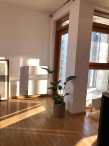 Mieszkanie z dużym tarasem w centrum Warszawy