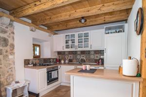 Vintage house Kolocep