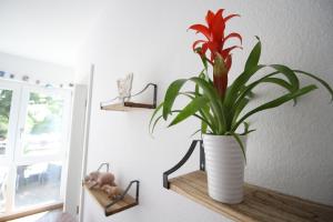 Gemütliches Apartment bei Köln