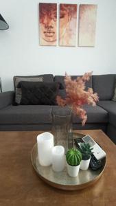 DOWN TOWN Luxurious Apartments 3