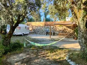 Quinta dos Covões - Maçeira