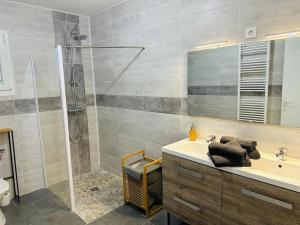 Maisons de vacances La Maison Jumelle ELM Tonneins : photos des chambres