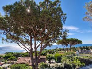 Villa 7 pièces, face à la plage, piscine chauffée, 18 pers, séjour de luxe - FR-1-780-14