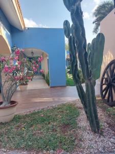 Serenity Home Hospedaje con confort y seguridad